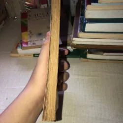 Trăng Trở Dương Trọng Dật 970647