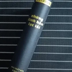 Những Linh hồn lạc lối (A. J. Cronin) 779008