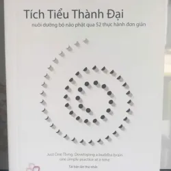Tích Tiểu Thành Đại - Nuôi Dưỡng Bộ Não Phật Qua 52 Thực Hành Đơn Giản