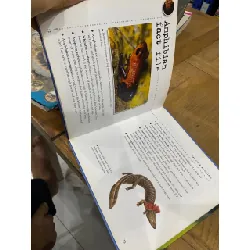 Bulletpoints about Animals 563589