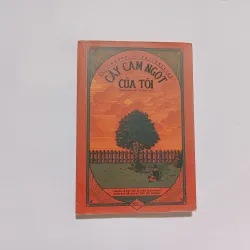 Cây Cam Ngọt Của Tôi - José Mauro de Vasconcelos