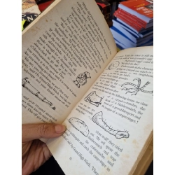 THE WITCHES : PLAYS FOR CHILDREN - Roald Dahl 141477