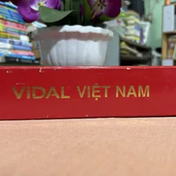 Vidal Việt Nam 1999 🌊 718554