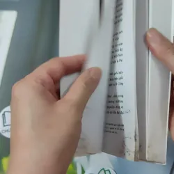 Các Triều Đại Việt Nam - Quỳnh Cư & Đỗ Đức Hùng 970263