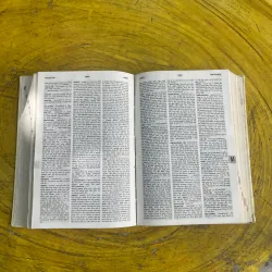 TỪ ĐIỂN ANH - VIỆT ENGLISH- VIETNAMESE DICTIONARY 1995(c) 730735