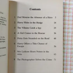 RUMPUS ON THE ROOF - Hazel Townson Minh họa: David McKee 750332