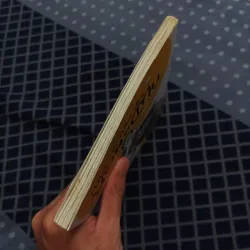 Junji ito nhà có mèo dữ  961314