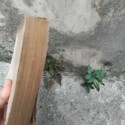 Thơ văn Nguyễn Bỉnh Khiêm  1022819