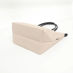 【Sản phẩm mới】Túi xách vai Longchamp Le Pliage Energy 1899 HSR 613526