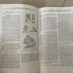 200 Kiệt Tác Bonsai Thế Giới 593874