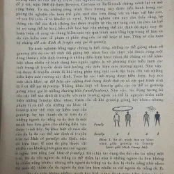 DI TRUYỀN HỌC VÀ VI KHUẨN 698206