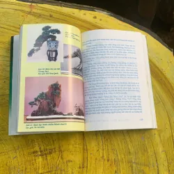 COMBO BONSAI Cây dáng, thế và Non bộ  775779