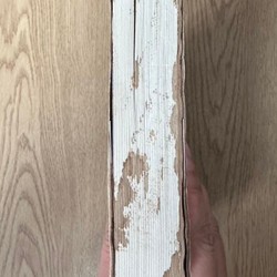 Sách tiếng Việt - Cơn ác mộng kinh hoàng 72111