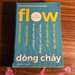 Flow - Dòng chảy, trải nghiệm tối ưu