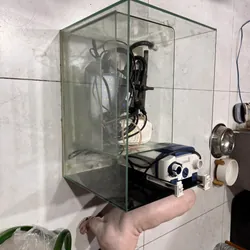 Hồ cá 40x30 cần bán (tặng hồ nhỏ) 596345