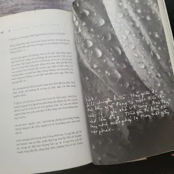 Thư tình gửi một người - Trịnh Công Sơn 1001992