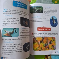 Khám Phá Những Bí Ẩn Về Trái Đất 1032375