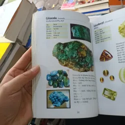 Sổ tay người chơi đá - Đỗ Đức Quang 926968