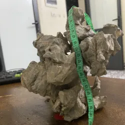 Đá ký cây hoặc tiểu cảnh  1020064