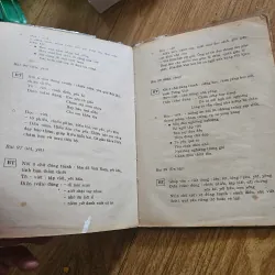Giúp con em học tiếng Việt 1 (bìa bị rách vài chỗ, ố vàng nặng)
 757842