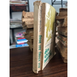 Đèn không hắt bóng -watanabe Dzunichi 927732