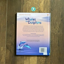 [Bìa cứng] Usborne Discovery: WHALES AND DOLPHINS 224295