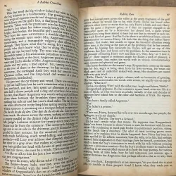 A Rabbit Omnibus - John Updike (Sách It Gặp) 738054