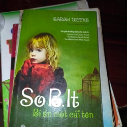 Sobit Bí ẩn một cái tên 305054