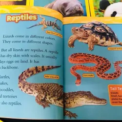 National geographic (Sách nhập) - Level 2 - Full bộ mới nhất 41 quyển + File Mp3 759653