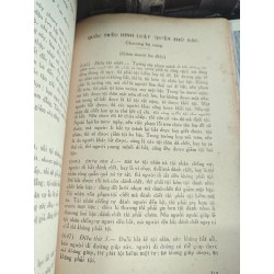 QUỐC TRIỀU HÌNH LUẬT - LƯỠNG THẦN - CAO NÃI QUANG ( PHIÊN DỊCH) 187860