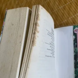 Hoa hồng sớm mai 748483