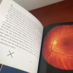 PICTURE BOOK Eyes and ears 536687