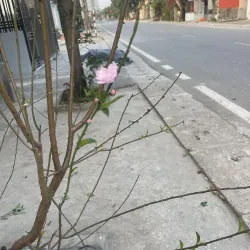 Tuyệt vời lắm  1041882