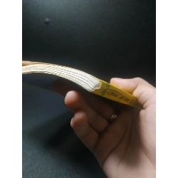 Chim yến phụng 1996 - Việt Chương (ố nhẹ) new 90% HCM.TN2707 911769