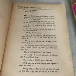 Phúc âm Chúa Nhật 995100