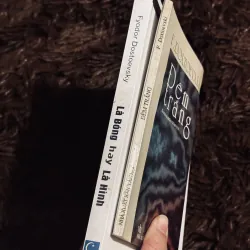 Combo Là bóng hay là hình + đêm trắng 756100