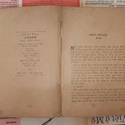 Trọn bộ 2 tập KIẾP HỒNG NHAN - Tác giả Kathleen Winsor 703547