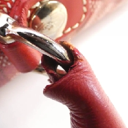 Goyard SAINT LUCIE AMA LUCIE Túi - Hàng hiệu Chính hãng 766149