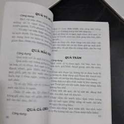 Chữa bệnh bằng cây lá quanh ta 995316