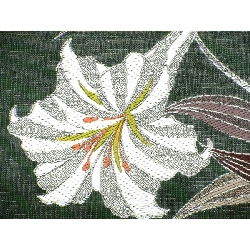 Đai lưng toàn bộ - Hàng hiệu Authentic 881397