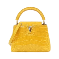 Túi xách Louis Vuitton Exotic Leather Capucines MINI N93164