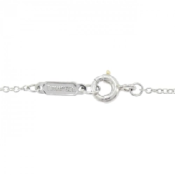 Dây chuyền nhỏ hình trái tim Sentimental của Tiffany - Hàng hiệu Authentic 842739