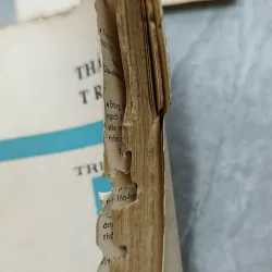 MỘT THẾ KỶ - THÁI BÌNH TRẢ LẠI - TRUY PHONG 716504