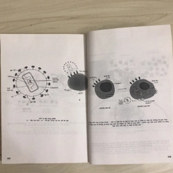 VI SINH VẬT HỌC  335830