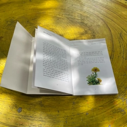 BOXSET LẠC GIỮA NHÂN GIAN và TRÊN ĐƯỜNG RONG RUỔI 533584
