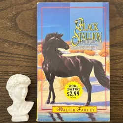 The Black Stallion