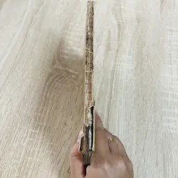 100 BÀI LUẬN PHÁP VĂN 971765