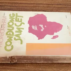 Tác phẩm văn học Nam Phi: CON ĐƯỜNG SẤM SÉT - Peter Abrahams 732907