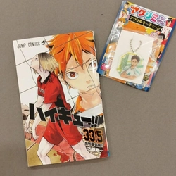 Haikyu 33.5 & Keyring offical 355062