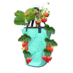 Túi Trồng Cây Bằng Vải 10 Gallon – Trồng Dâu, Cà Chua, Hoa, Rau Sạch – Có Quai 474076